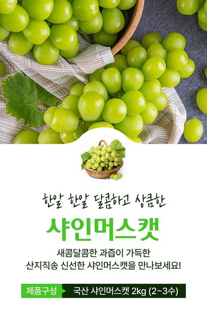 01_인트로비주얼_09.jpg