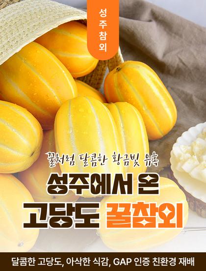 01_인트로비주얼_16.jpg