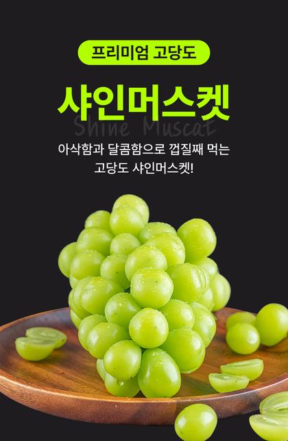 01_인트로비주얼_24.jpg