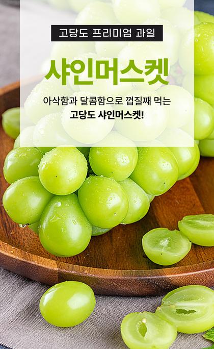 01_인트로비주얼_25.jpg