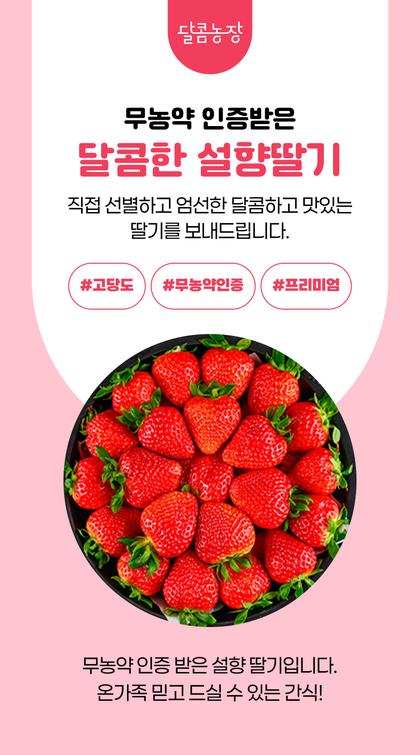 01_인트로비주얼_28.jpg