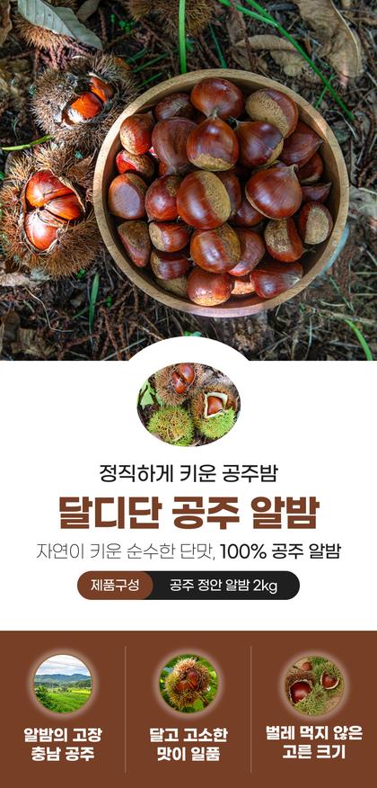 01_인트로비주얼_40.jpg