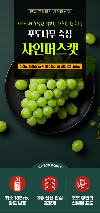 01_인트로비주얼_43.jpg