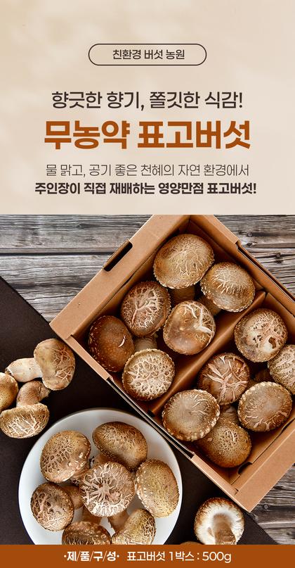 01_인트로비주얼_52.jpg