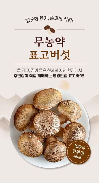 01_인트로비주얼_53.jpg