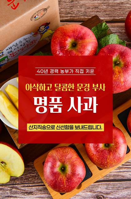 01_인트로비주얼_58.jpg