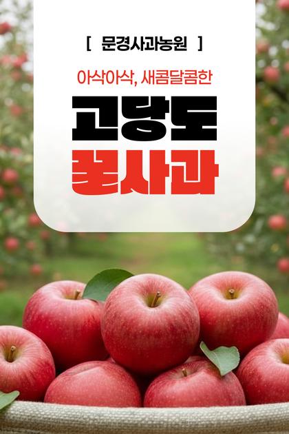 01_인트로비주얼_61.jpg