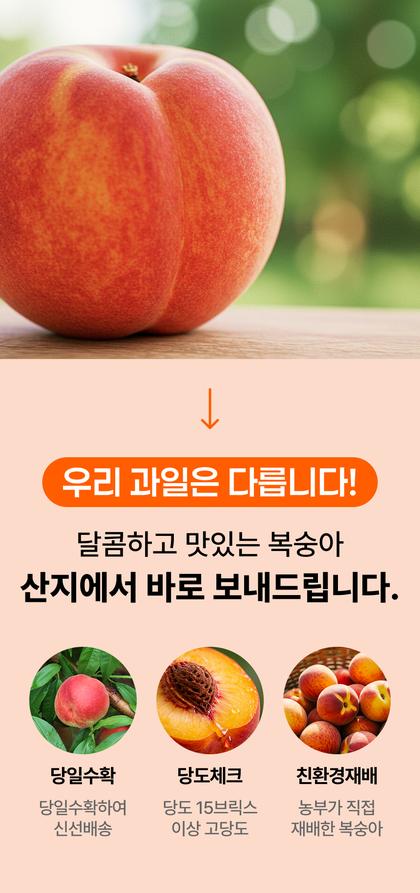 04_문제해결_05.jpg