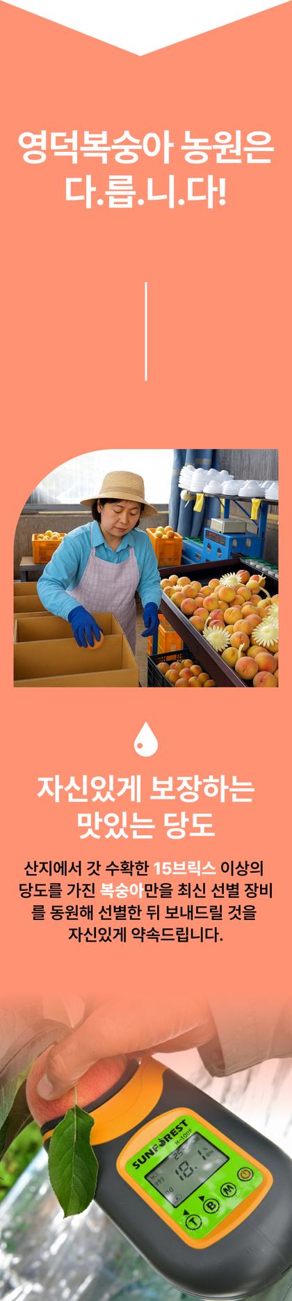 04_문제해결_10.jpg