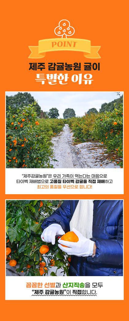 05_특별함_04.jpg