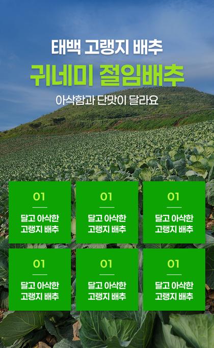 05_특별함_09.jpg