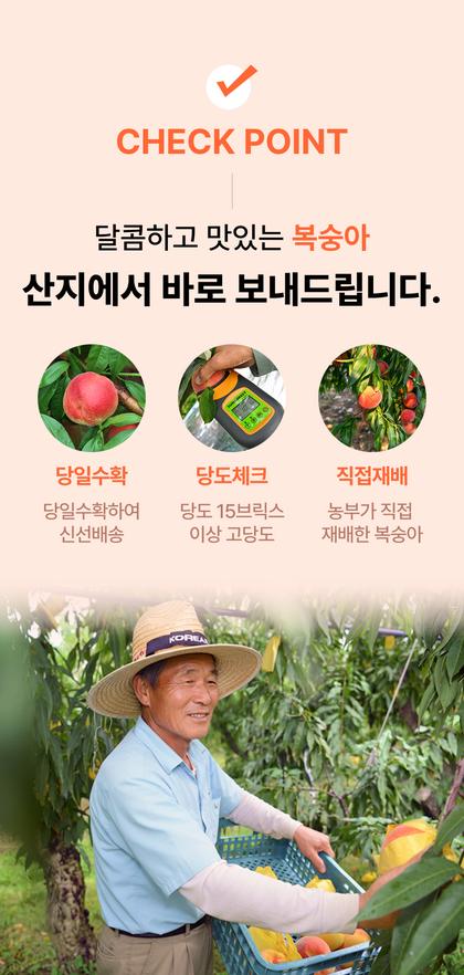 05_특별함_11.jpg