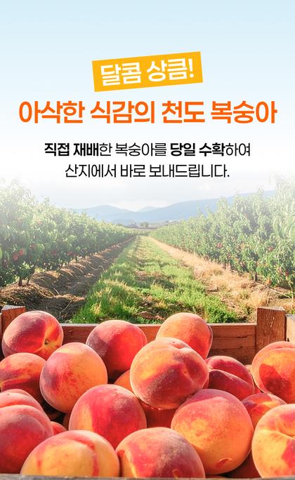 05_특별함_14.jpg