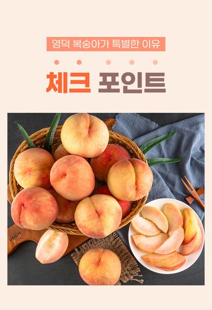 05_특별함_15.jpg
