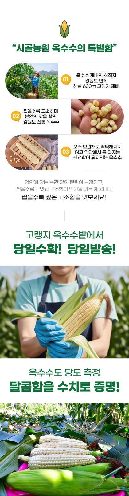05_특별함_16.jpg