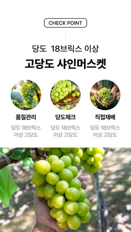 05_특별함_17.jpg