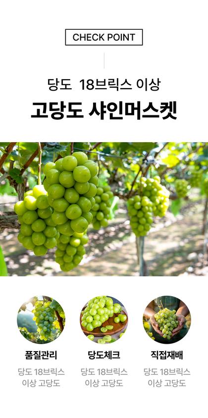 05_특별함_20.jpg