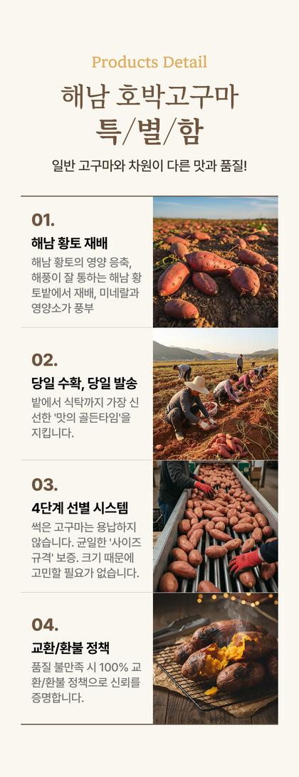 05_특별함_27.jpg