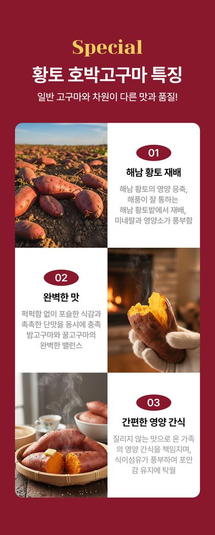 05_특별함_31.jpg