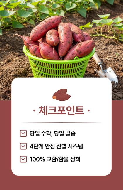 05_특별함_35.jpg