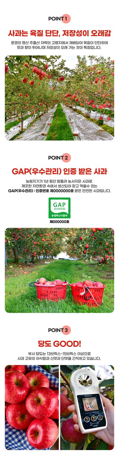06_포인트나열_01.jpg