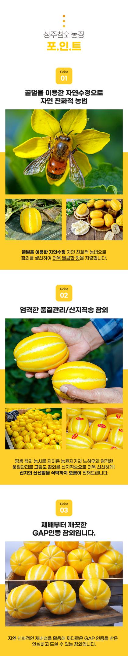 06_포인트나열_05.jpg