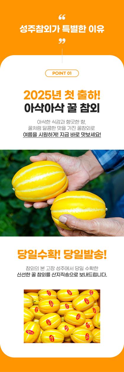 06_포인트나열_08.jpg