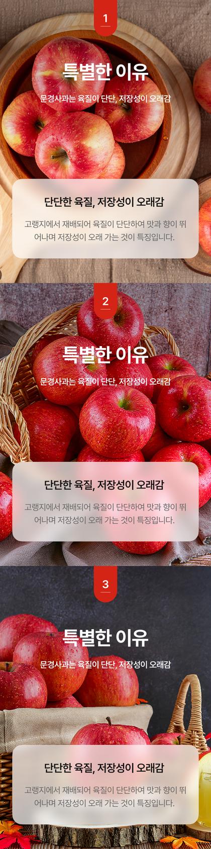 06_포인트나열_10.jpg
