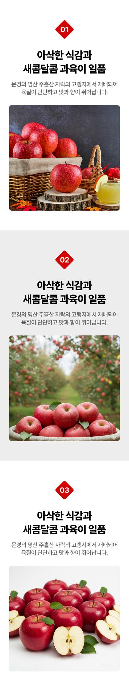 06_포인트나열_12.jpg
