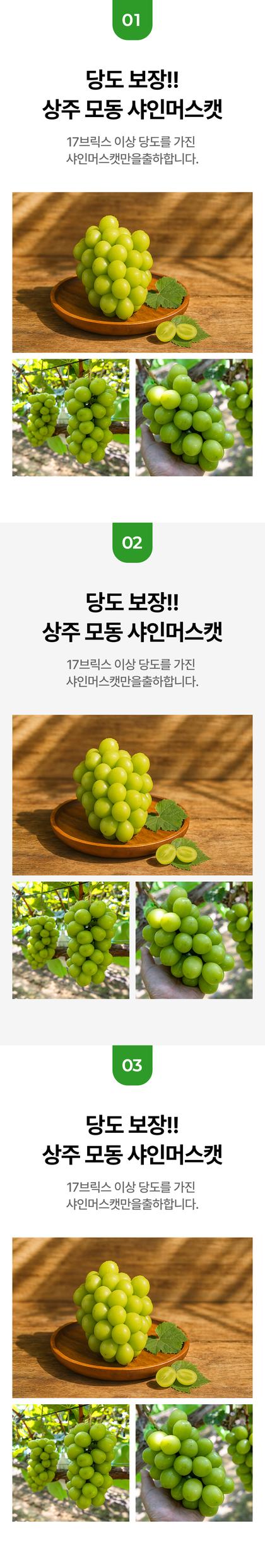 06_포인트나열_15.jpg