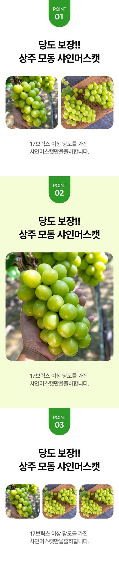 06_포인트나열_16.jpg