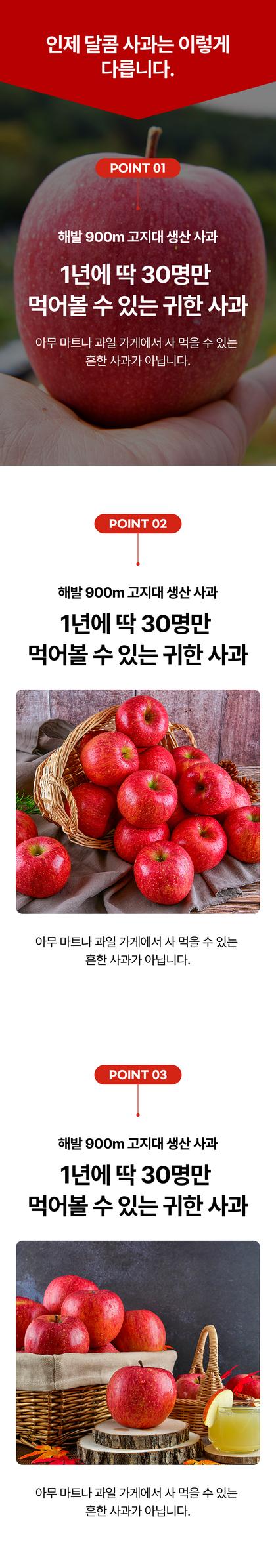 06_포인트나열_17.jpg