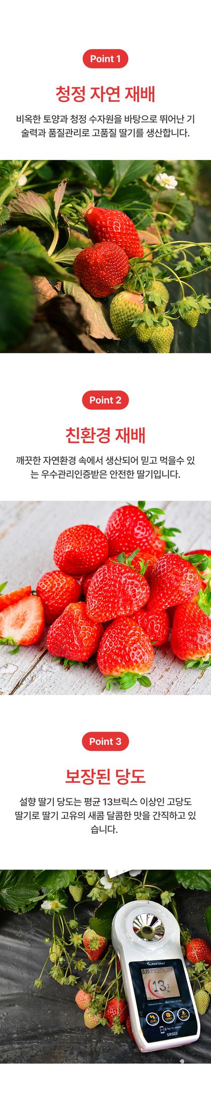06_포인트나열_18.jpg