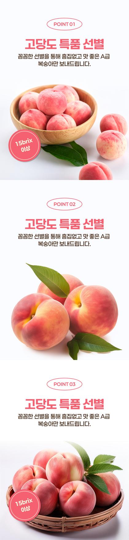 06_포인트나열_20.jpg