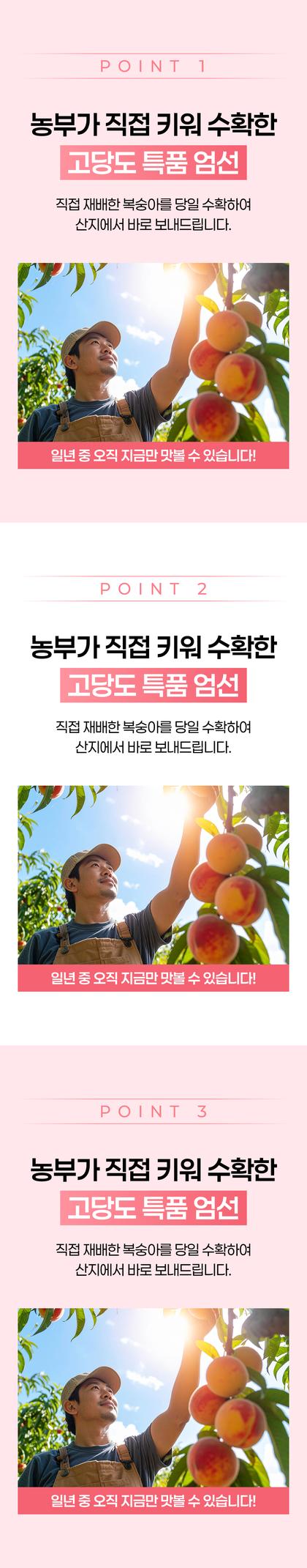 06_포인트나열_21.jpg