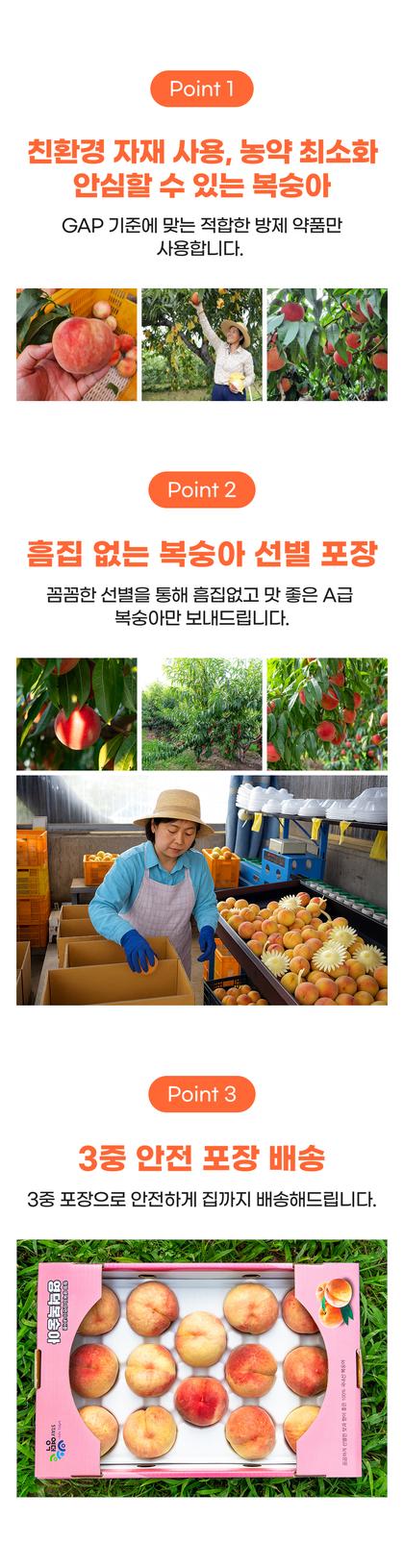 06_포인트나열_23.jpg