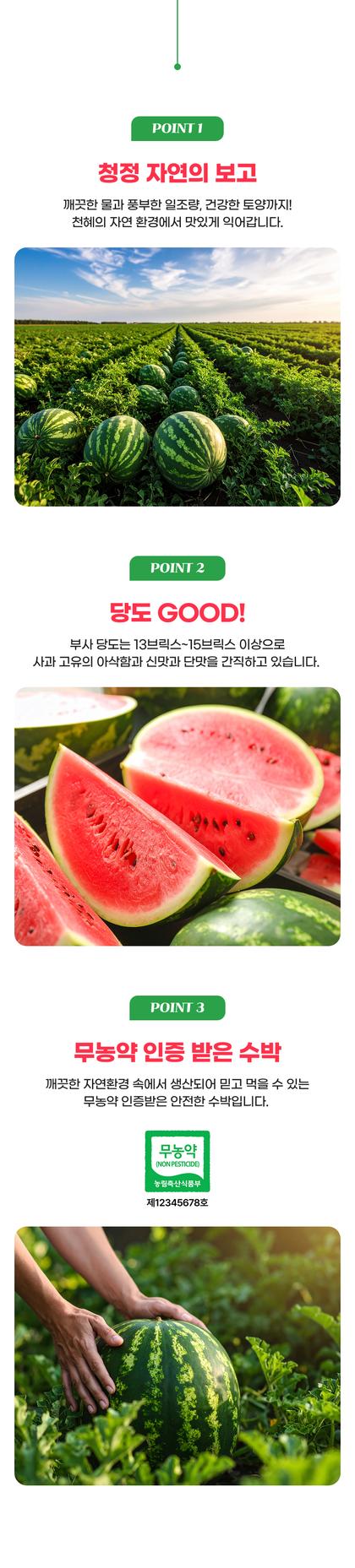 06_포인트나열_24.jpg