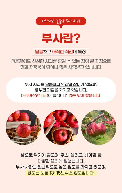 06_포인트나열_27.jpg