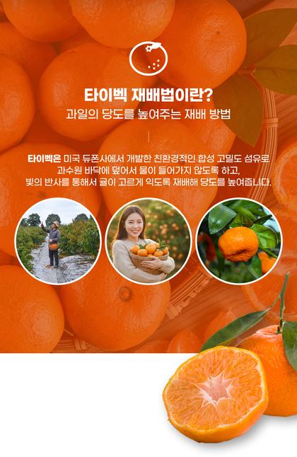06_포인트나열_28.jpg