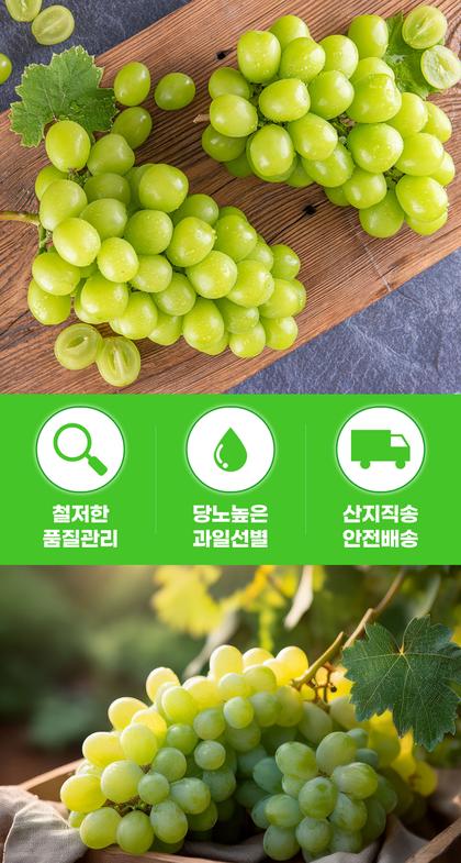 06_포인트나열_29.jpg