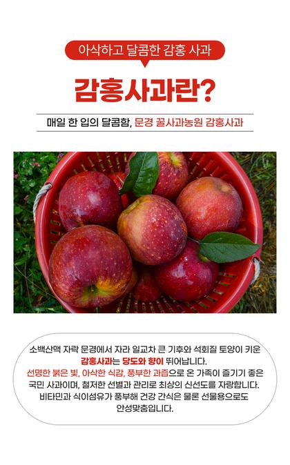 06_포인트나열_38.jpg