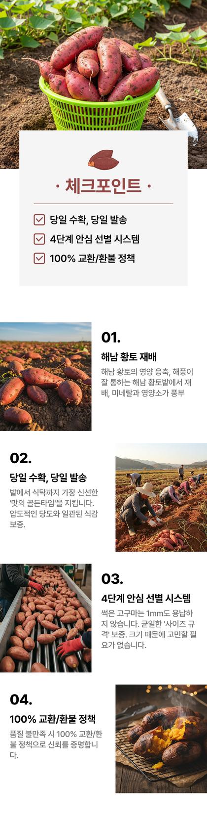 06_포인트나열_39.jpg