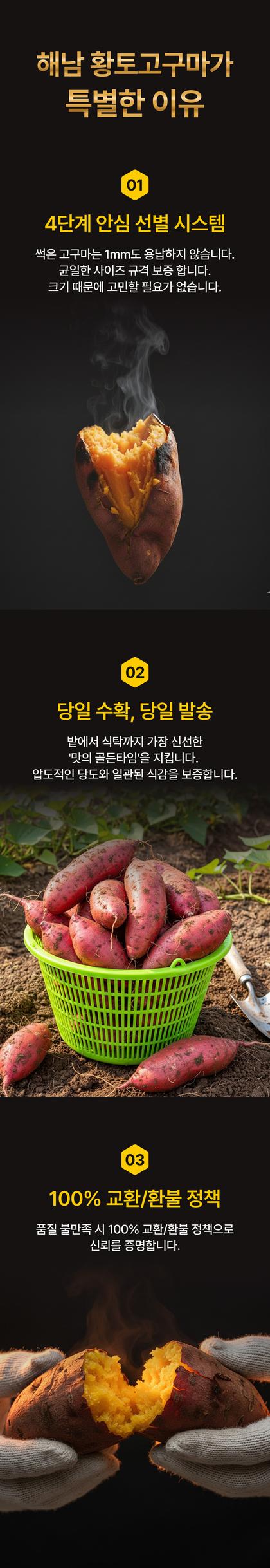 06_포인트나열_41.jpg