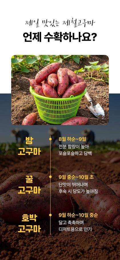 06_포인트나열_44.jpg