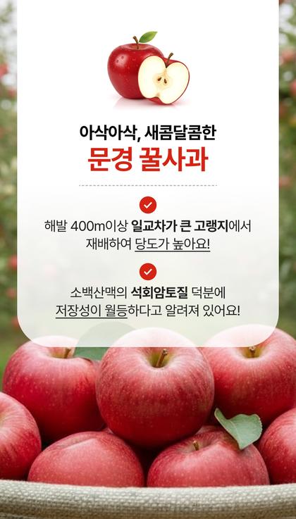 06_포인트나열_49.jpg
