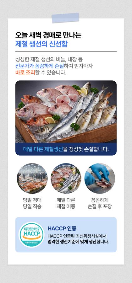 06_포인트나열_50.jpg