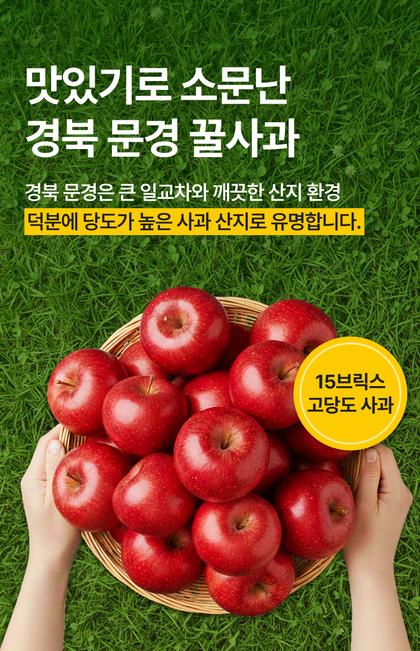 06_포인트나열_51.jpg