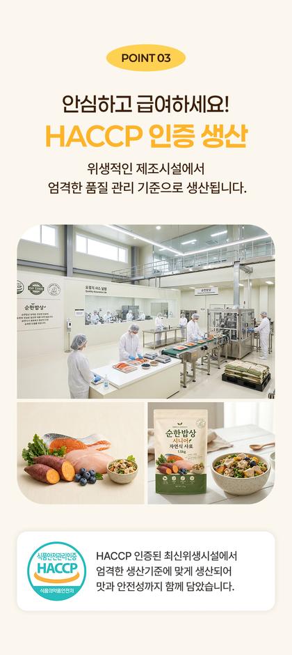 06_포인트나열_81.jpg