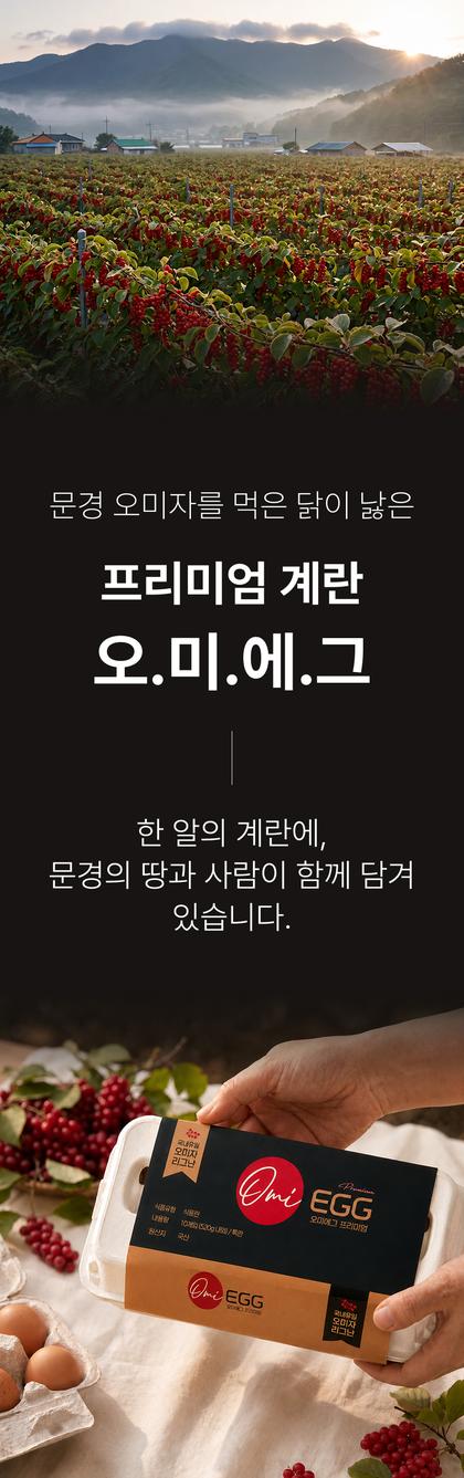 06_포인트나열_97.jpg