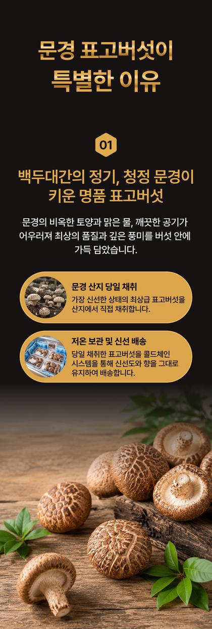 06_포인트나열_98.jpg